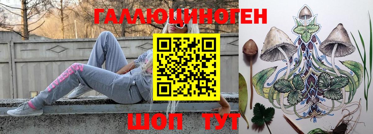 Галлюциногенные грибы Psilocybe Балашиха