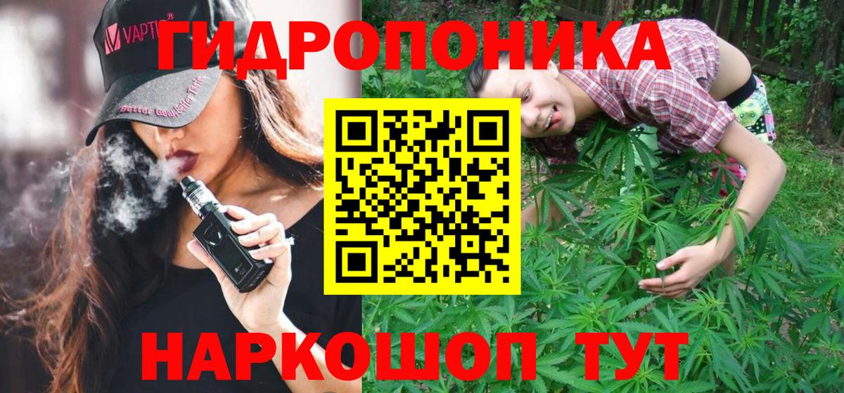 Шишки марихуана конопля Балашиха